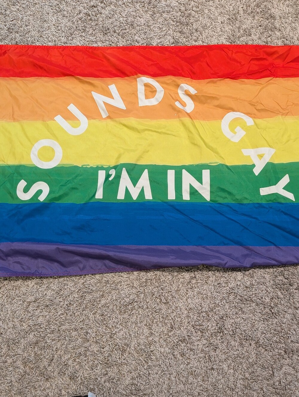 rainbow-colored Pride flag featuring the white text "Sounds Gay I'm In".It is de